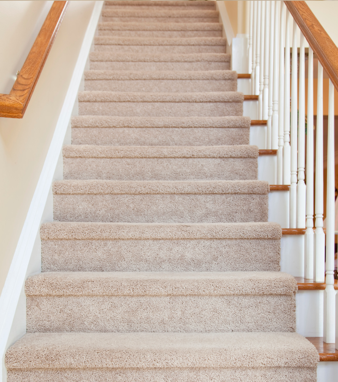 4 bedrooms + 2 lounges + 1 hallway