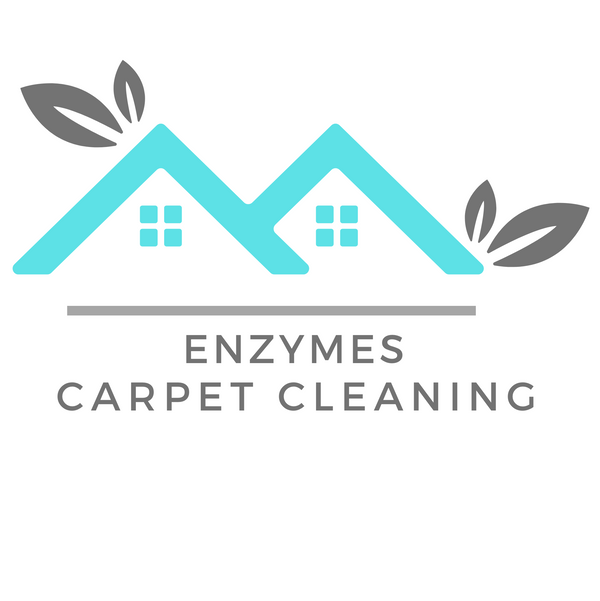 Enzymes Carpet Cleaning